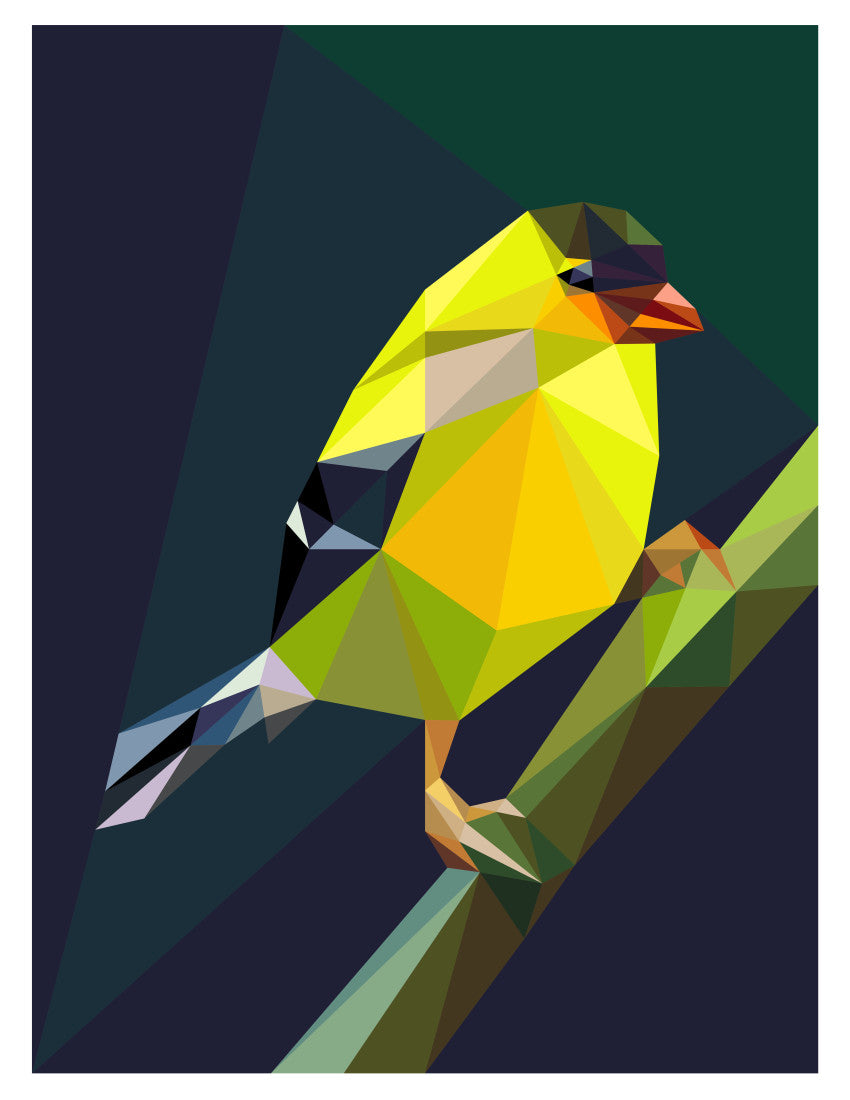Mini Songbird Bundle
