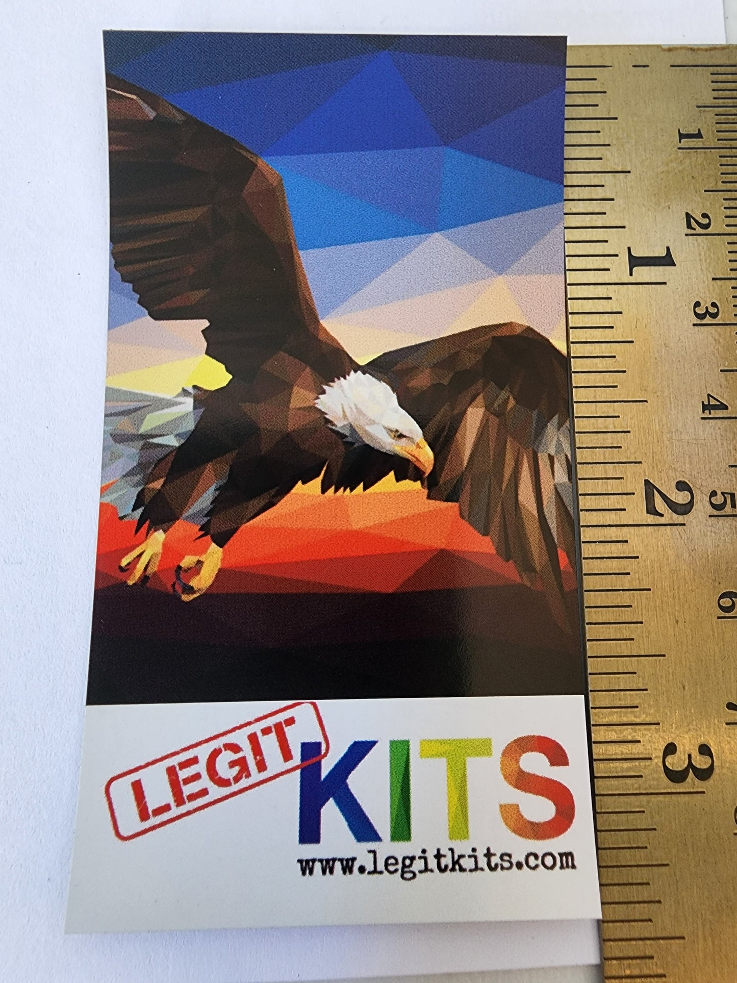 Land of the Free Magnet