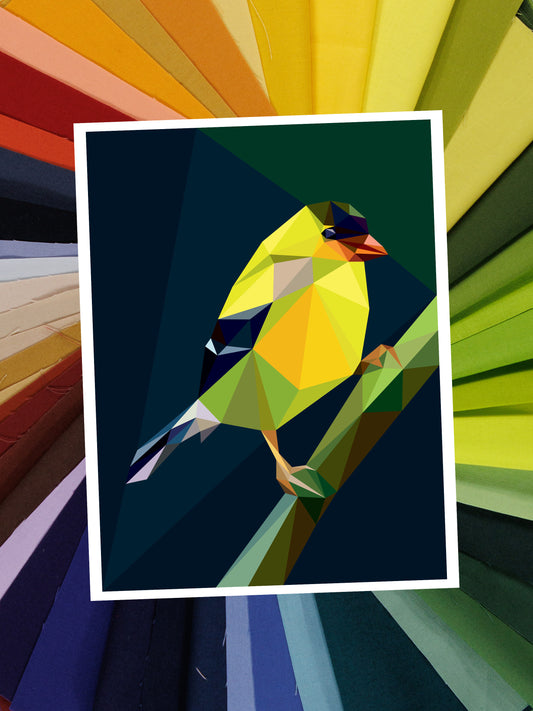 Lil Chip Fabric Pack