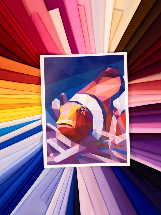 Clownfish Fabric Pack