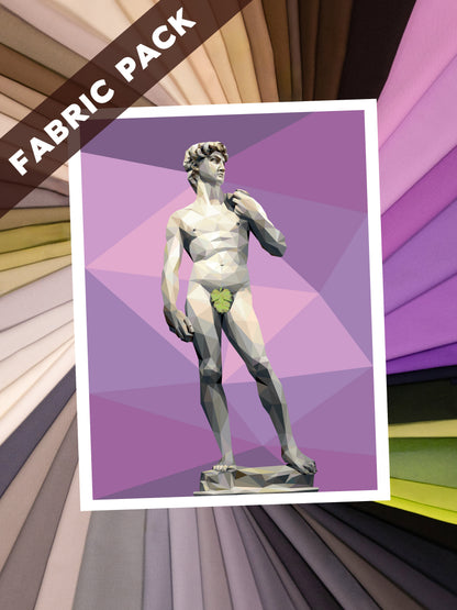 David Front Fabric Pack