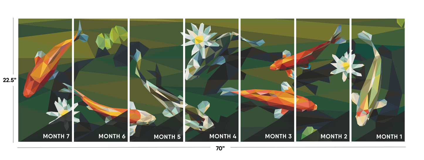 Koi Pond Registration for BOM