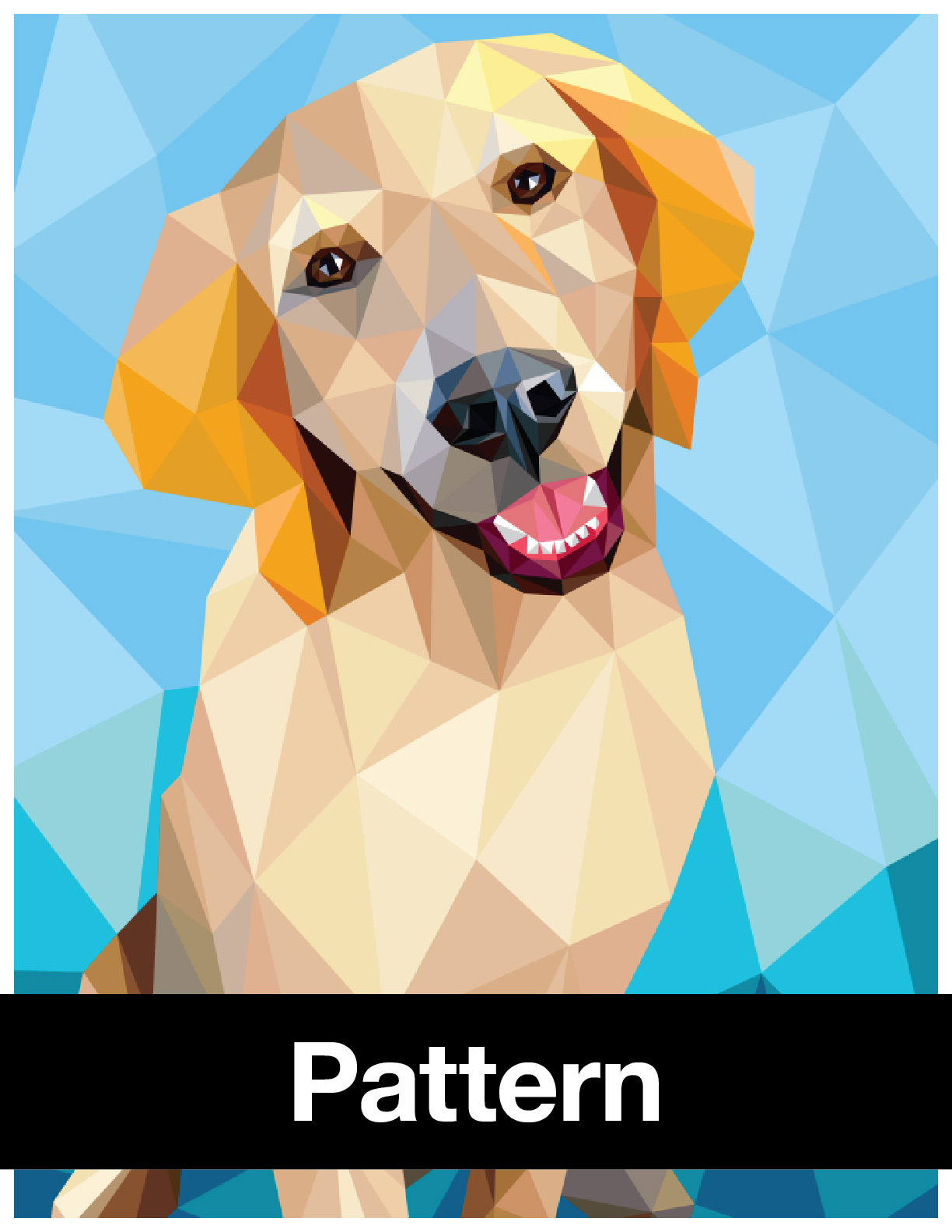 Everest the Retriever Pattern