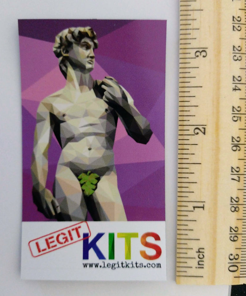 OMG David Front with Fig Leaf Magnet