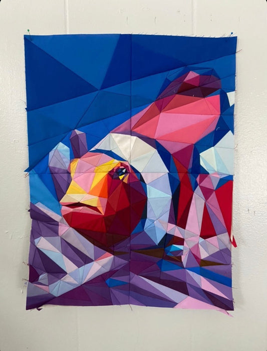 Clownfish Fabric Pack