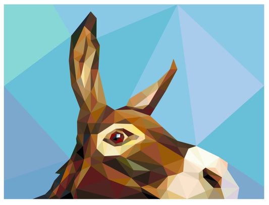 Lucy Loo Fabric Pack