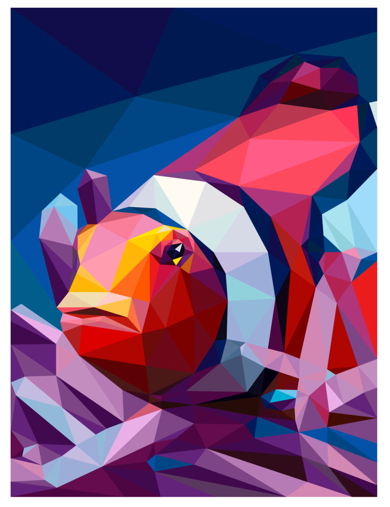 Clownfish Fabric Pack ONLY