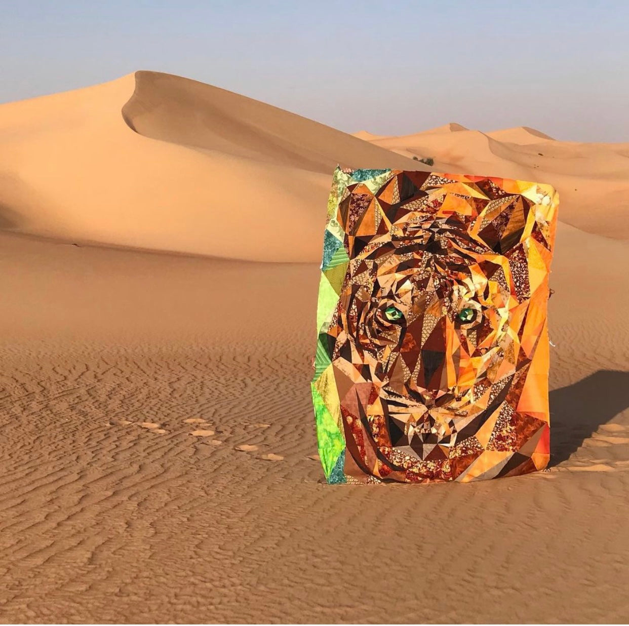 Legit tiger on display in the desert outside Dubai.