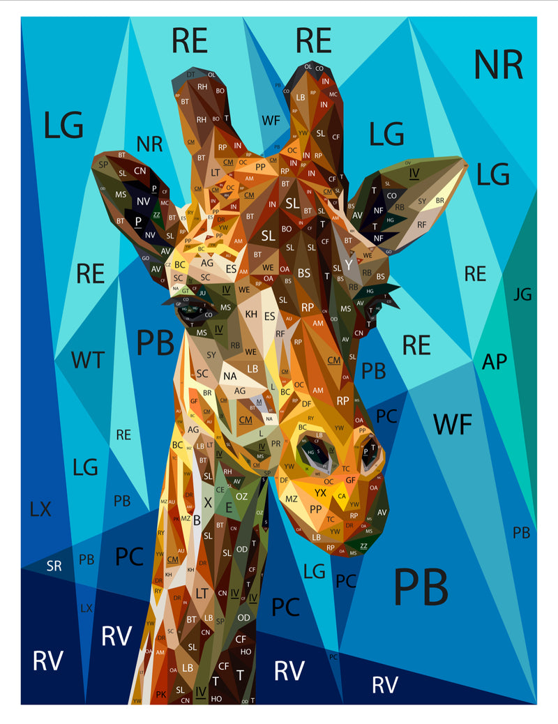 Big G the Giraffe Full Quilt Top Kit