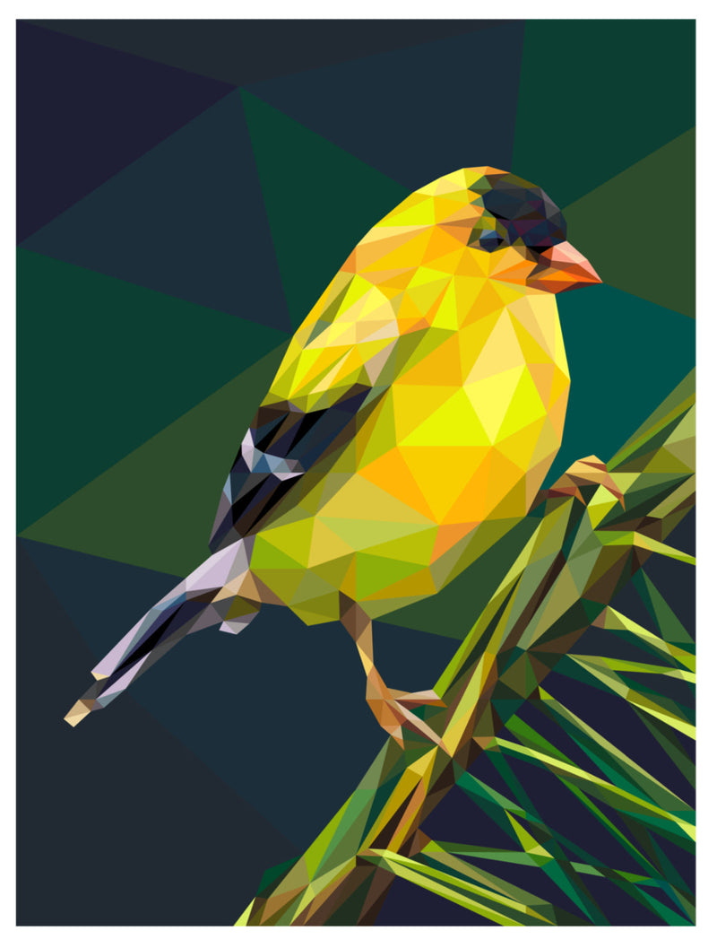 Chip the Goldfinch Digital Download