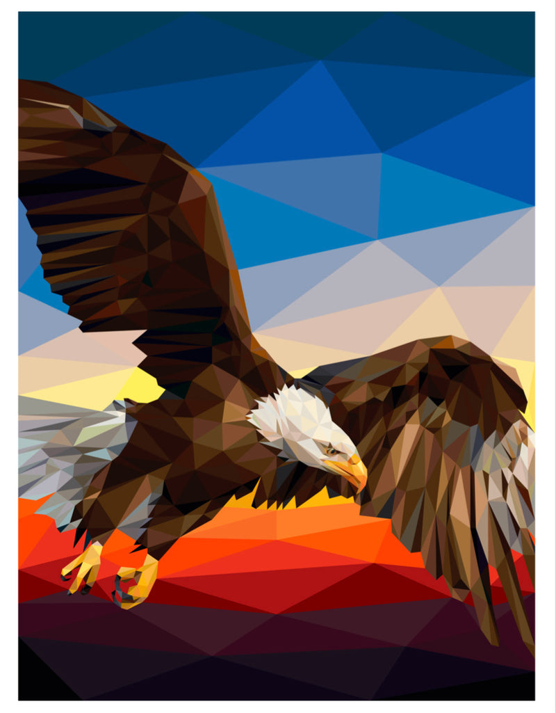Land of the Free Quilt Top Kit