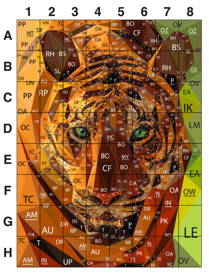 Color map of legit tiger showing color codes for all pieces as viewed from the pattern (back) side.
